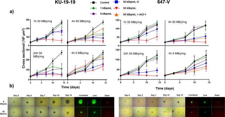 Cytotoxicity of [212Pb]Pb-TCMC-chOI-1 in 3D multicellular models.