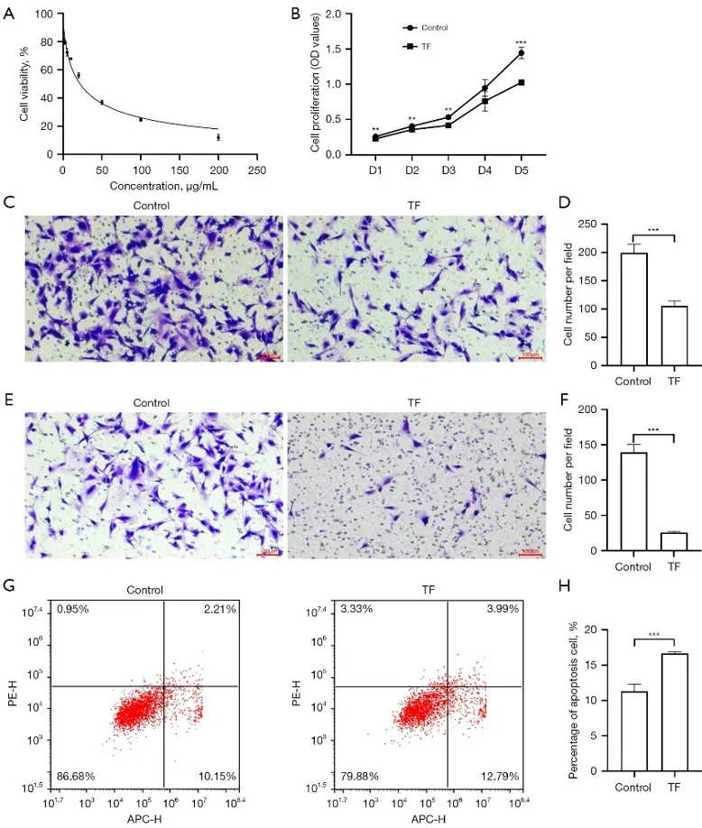 TF containment of the malignant tumor phenotype of 8305C cells.