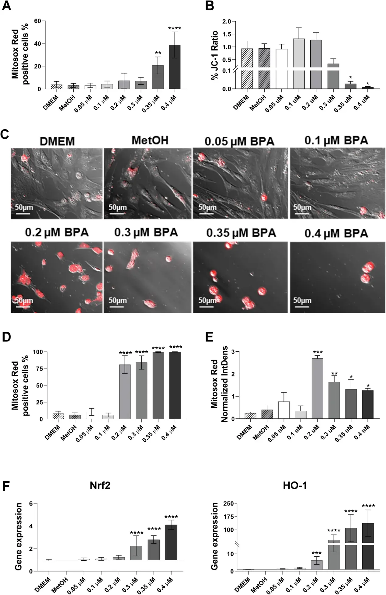 Increasing BPA concentrations induce oxidative stress in hAMSC initiating an antioxidant response.