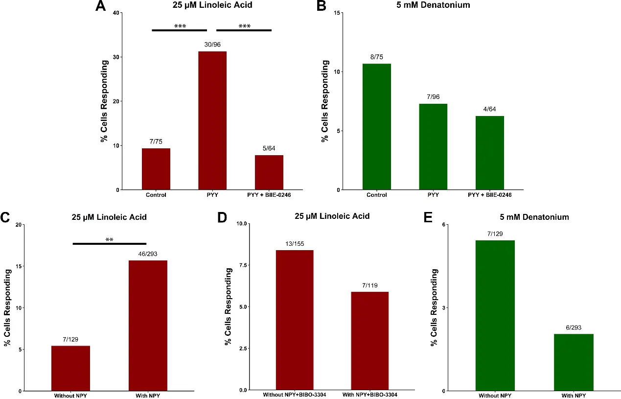 Chronic Exposure to PYY or NPY Modulates Bitter and Fatty Acid Responsiveness.