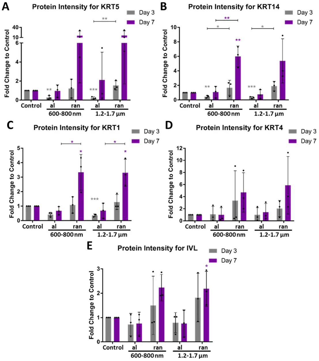 Topographical Cues Shape Protein-Level Differentiation in Epithelial Cells.