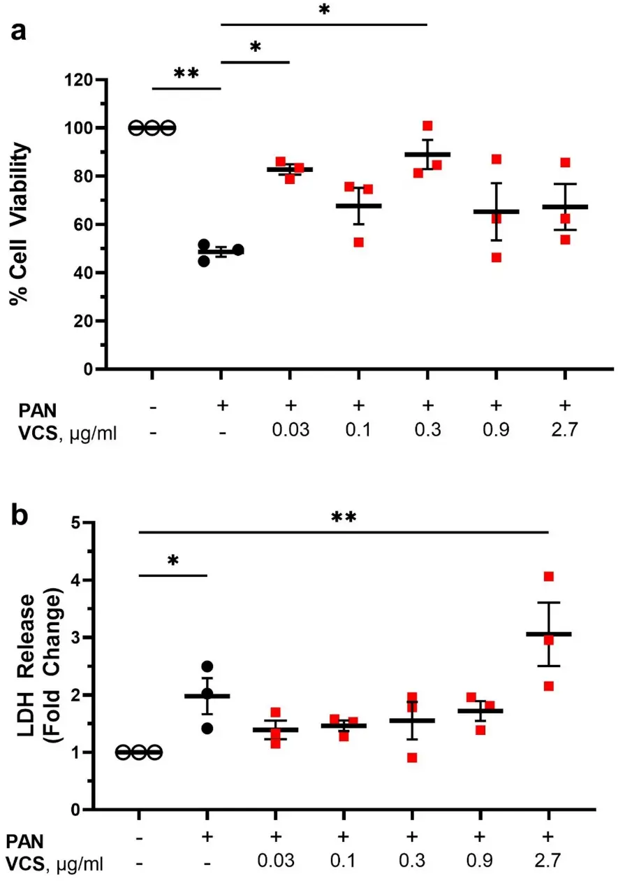Voclosporin (VCS) improved in vitro podocyte viability and decreased cellular stress after PAN-induced stress.