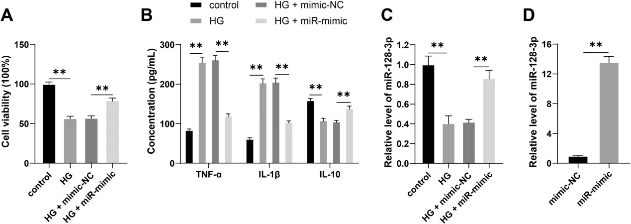 Overexpression of miR-128-3p alleviates HG-induced DR inflammatory injury.