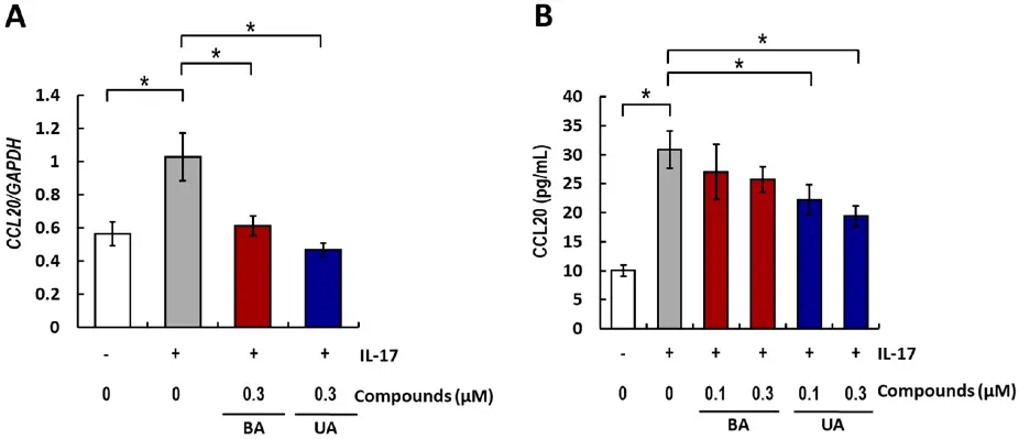 Effects of BA and UA on IL-17-Induced CCL20 Expression and Release.