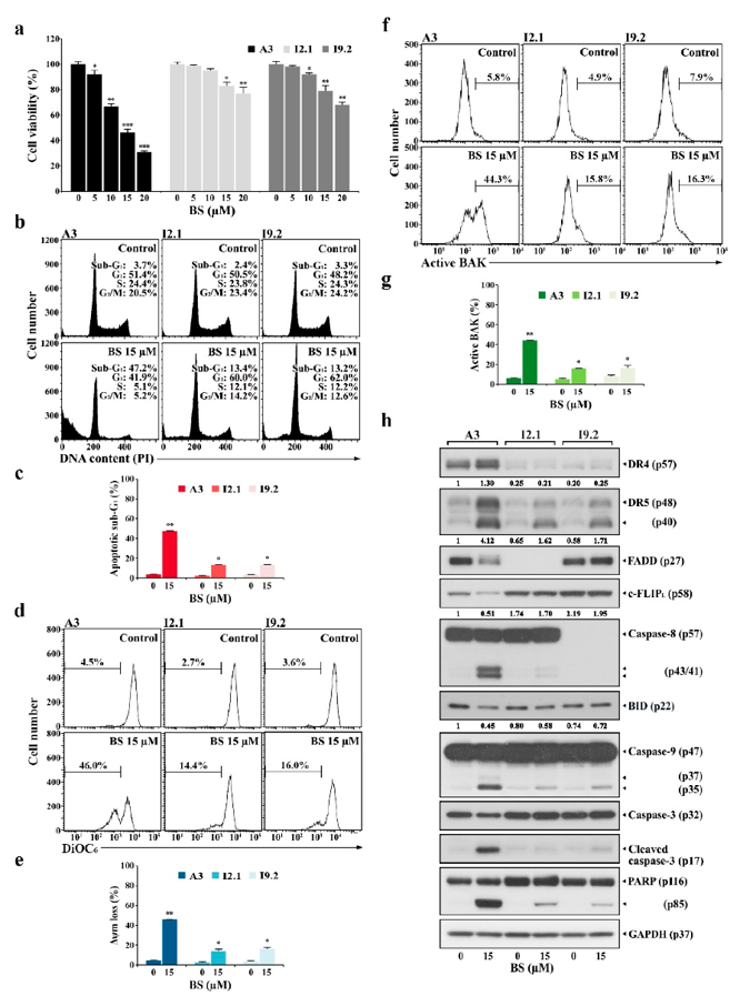 Differential effects of BS-181 on cell viability, cell cycle distribution, ΔΨm loss, BAK activation, and apoptosis-regulating protein levels in FADD- and caspase-8-positive wild-type, FADD-deficient, and caspase-8-deficient Jurkat T cells