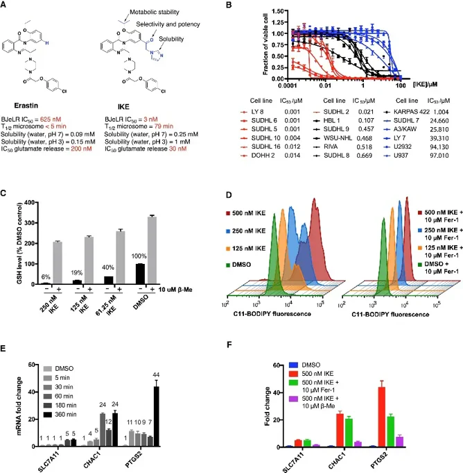 IKE Is a Potent Ferroptosis Inducer