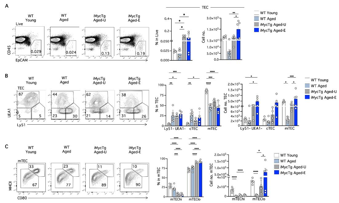 Inducible expression of Myc in TEC promotes recovery of some age-associated alterations to peripheral T-cells
