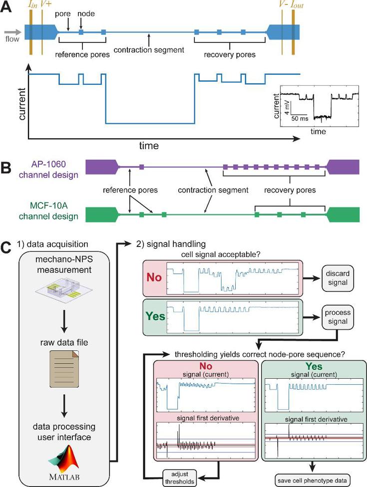 Overview of mechano-node-pore sensing (mechano-NPS) operating principles, device design, and data processing pipeline.