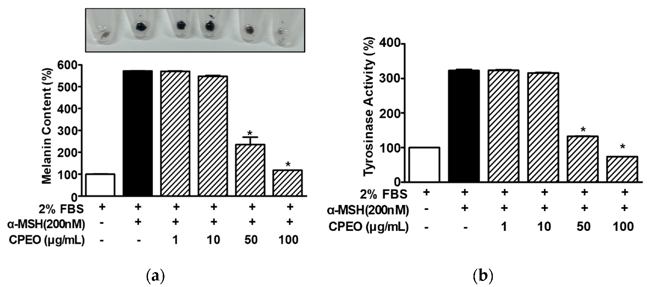 Changes in Melanin Synthesis and Tyrosinase Activity in CPEO-Exposed B16BL6 Cells.
