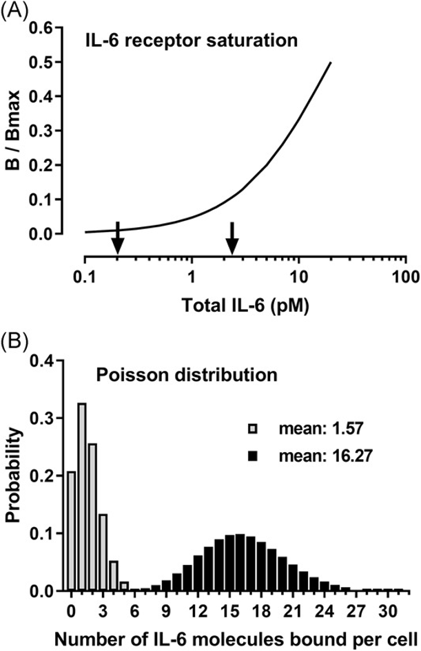 A, Cellular IL-6 receptor saturation, B/Bmax, as a function of total IL-6. B, The Poisson distributions for means 1.57 and 16.27.