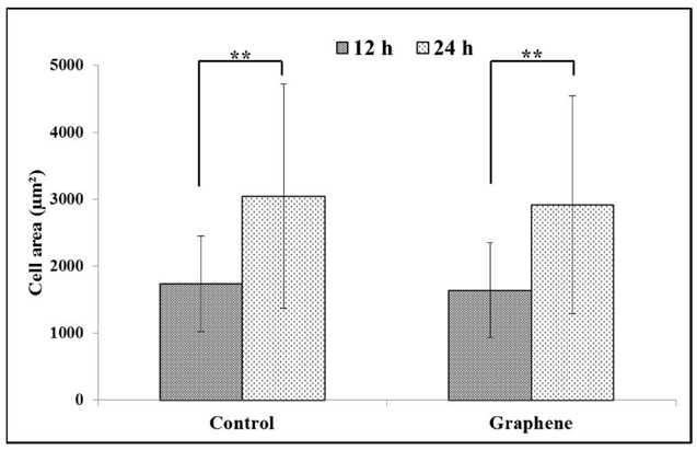Spreading (cell area) of BALB/3T3 fibroblasts 12 and 24 h after seeding on glass and graphene platform.
