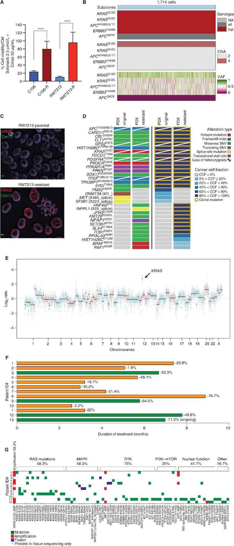 Mechanisms of resistance to combined KRASG12C and EGFR inhibition in colorectal cancer.