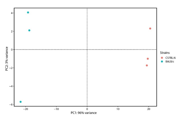 Two-dimensional PCA plot based on Euclidean distances of VST transformed counts