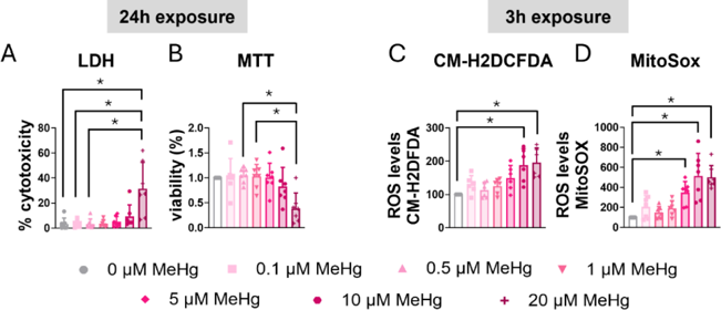 MeHg reduced cell viability and induced oxidative stress in C8-D1A astrocytic cells.