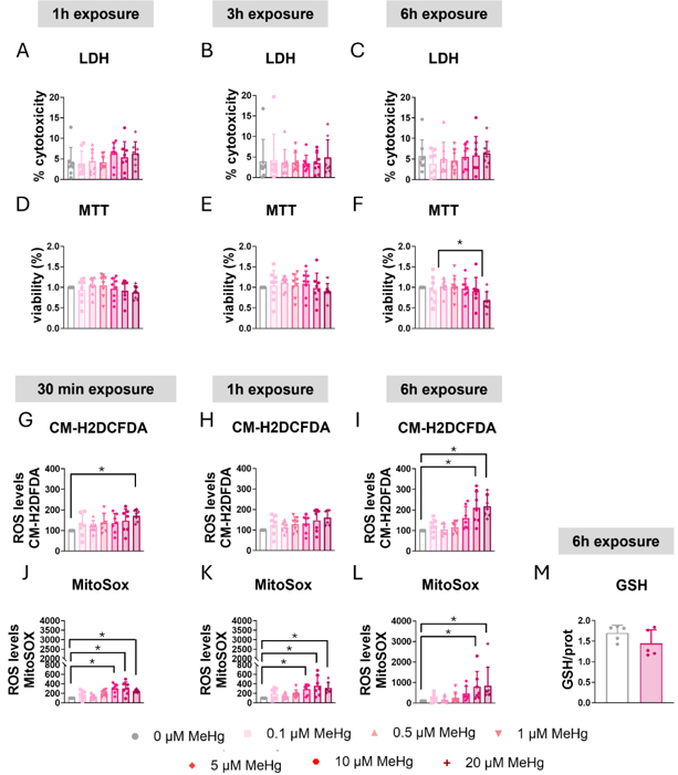 MeHg induced oxidative stress in C8-D1A astrocytic cells. Astrocytic C8-D1A cells were treated with MeHg (0, 0.1, 0.5, 1, 5, 10, or 20 µM)