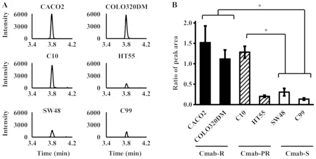 Expression levels of an LDHB-specific sequence using LC-MS/MS in cytoplasmic proteins derived from six CRC cell lines.