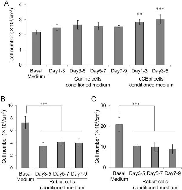 Effect of conditioned medium on corneal epithelial cell growth.