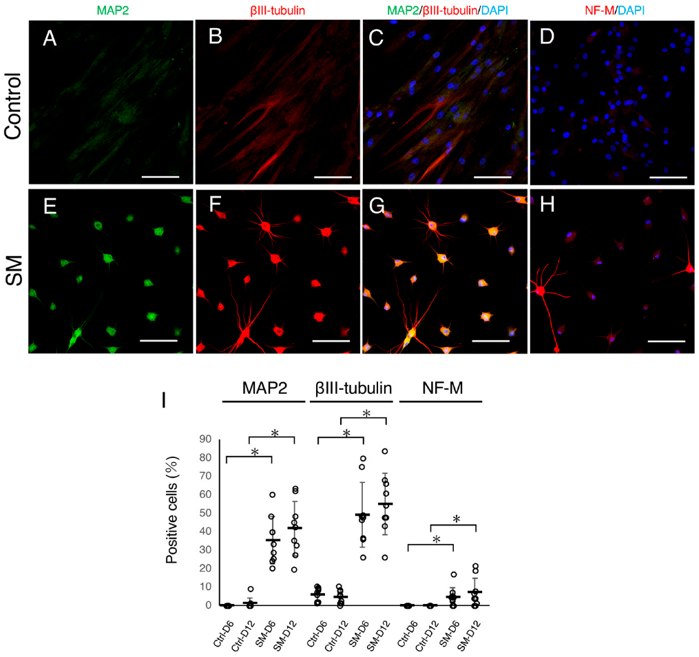 Exhibition of Neuronal Features in Small Molecule-Treated ACDFs.