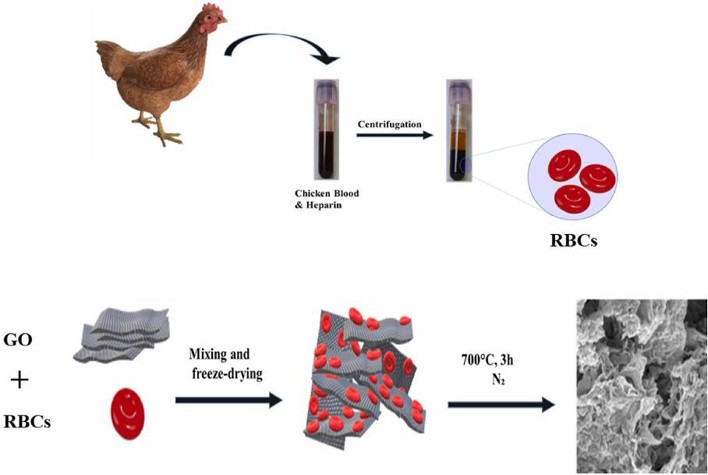 The steps of the preparation of GO-RBCs-F-P composite.