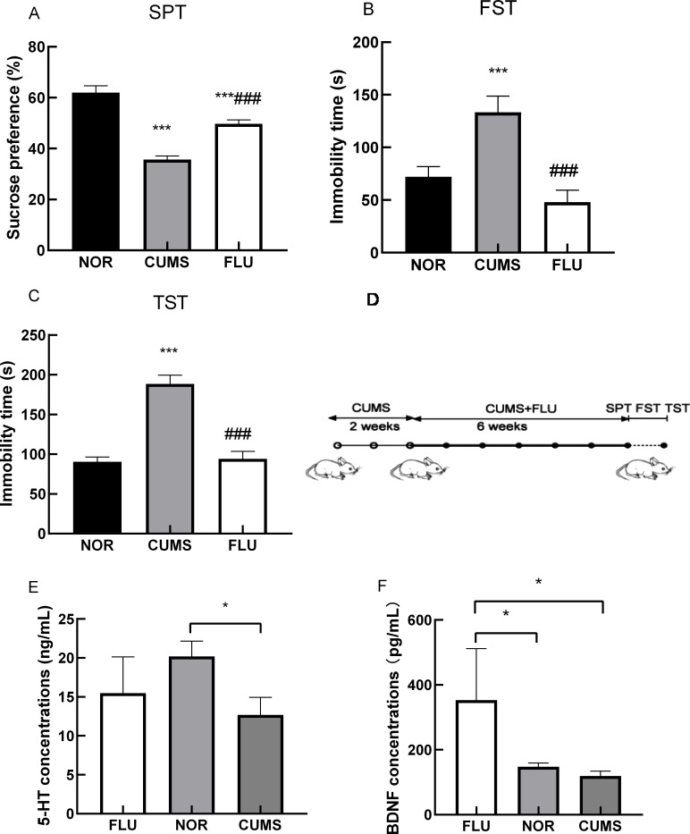 Fig. 2: Behavioral testing for depression-like phenotypes in mice.