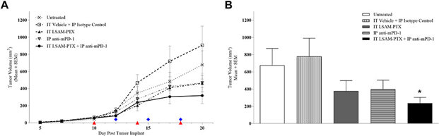 (A) Clone M3 primary tumor volumes. (B) Clone M3 mean tumor volume (mm3) measured on Day 20 were significantly reduced in animals administered combination IT LSAM-PTX + IP anti-mPD-1 treatment compared to IT vehicle + IP isotype control animals.