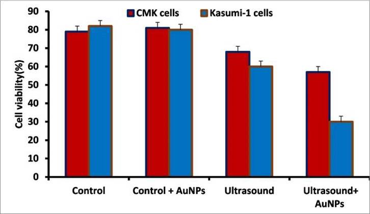 Flow cytometry analysis for Kasumi-1 and CMK cell lines upon treatment with US and AuNPs.