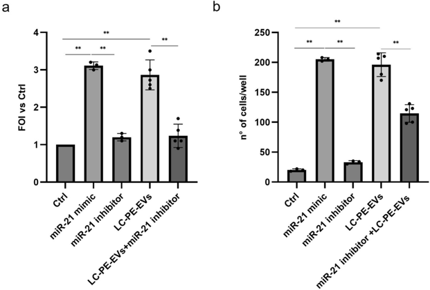 Effects of miR-21-5p on COLO699 cell proliferation and migration.