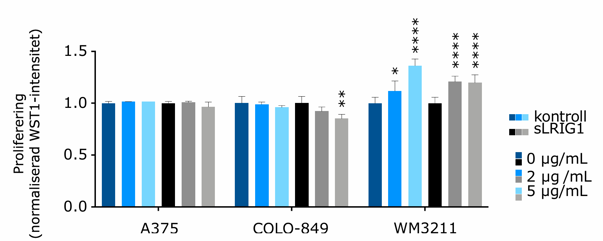 Comparison of cell proliferation among A375, colo-489, and wm-3211 cells cultured with or without indicated concentrations of control peptide His-MBP-Strep (control) or recombinant LRIG1 (sLRIG1).