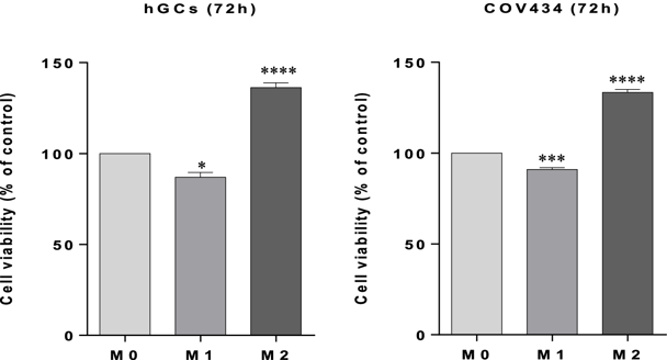 Effects of conditioned media obtained from culture of M1 and M2 macrophages in hGCs and COV434 cells viability.