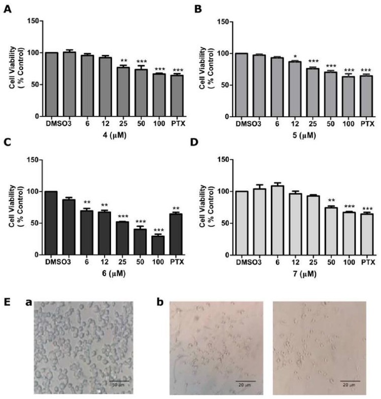 Antiproliferative effects of 4-7 on CT26WT cells.