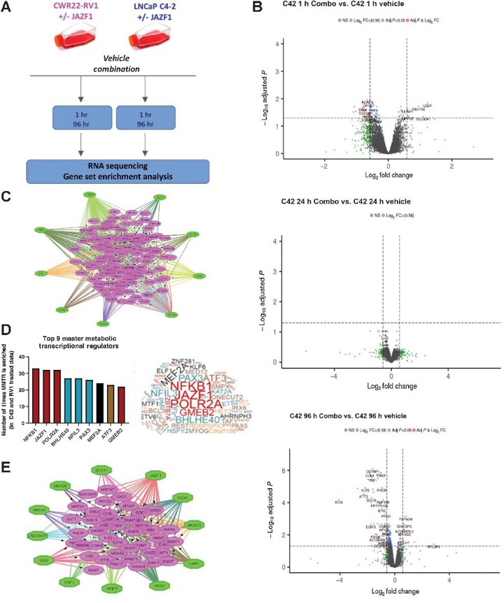 MMTRs determine adaptation to polyamine-targeted therapies.