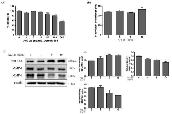 Expression of collagen on Ac2-26 treated human fibroblast Detroit 551 cells.