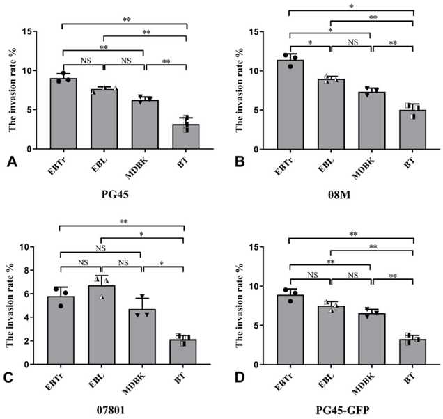 Shows the invasion rates of four mycoplasma strains into different cell types.
