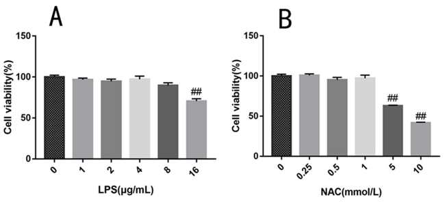 Evaluation of cell viability following different concentrations of LPS and NAC treatment.