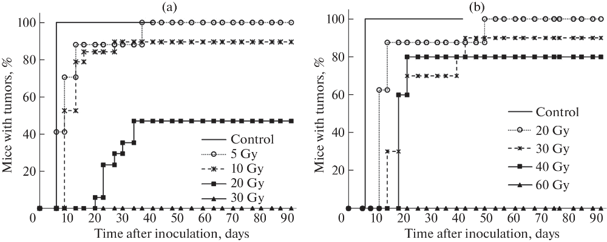 Dynamics of the appearance of tumors in mice after inoculation of EAC cells irradiated with: (a) carbon ions in the dose range of 5-30 Gy; (b) X-rays at doses of 20-60 Gy.