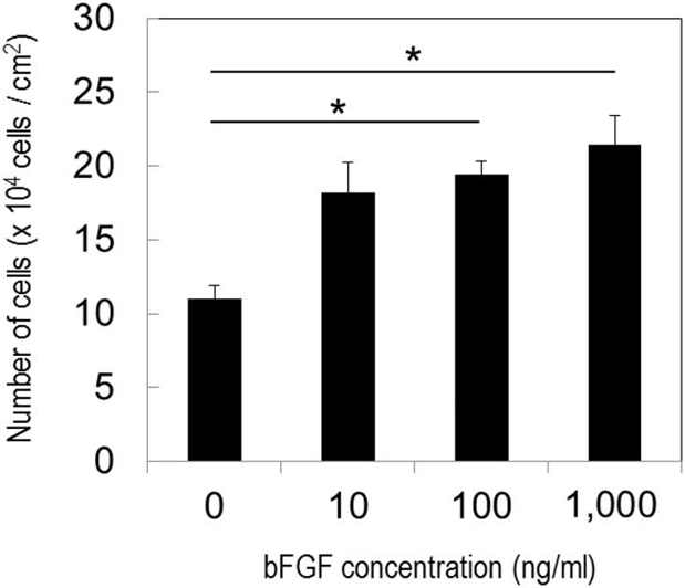 Effect of bFGF concentration on the proliferation of feline MSC 5 days after culture in bFGF concentrations of 0, 10, 100, and 1000 ng/ml.