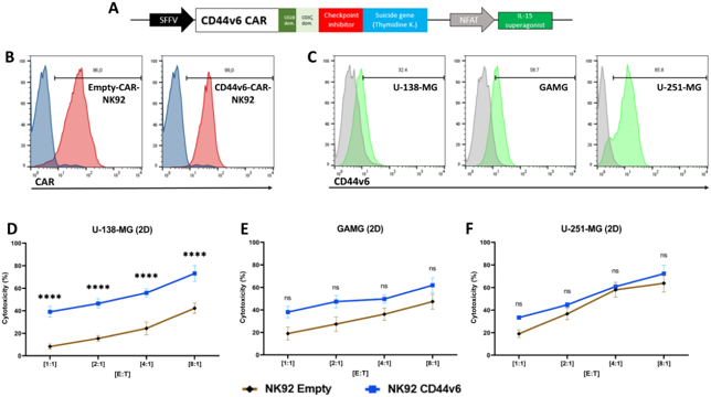CD44v6 CAR effective against glioblastoma cell lines in a 2D model.