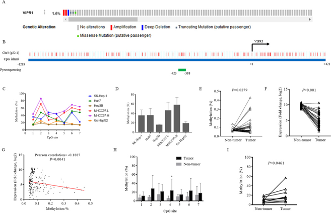 Negative correlation between VIPR1 mRNA expression and DNA methylation in HCC.