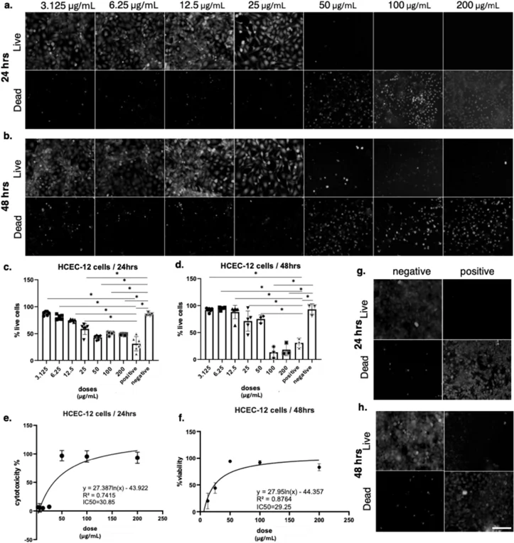 Bee venom exerted cytotoxic effects on corneal endothelial (HCEC-12) cells.