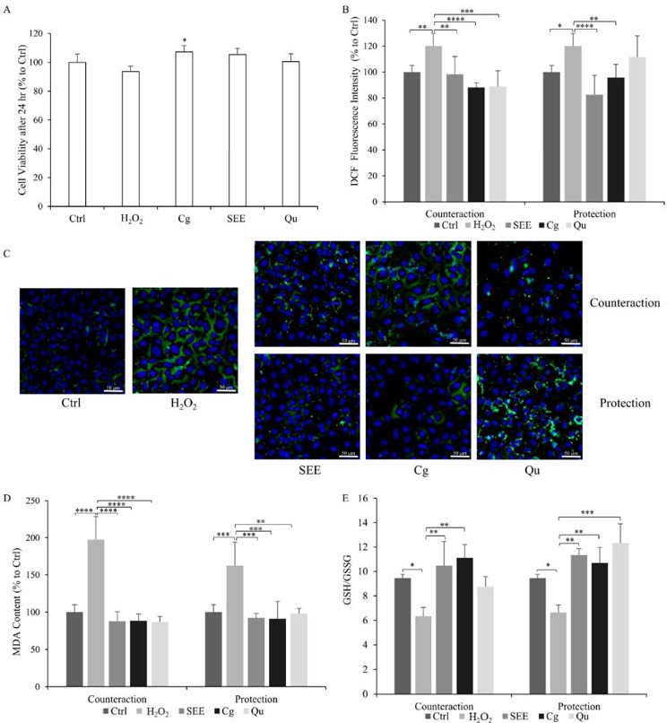 Antioxidant activity of the S. spinosum fruit ethanolic extract.