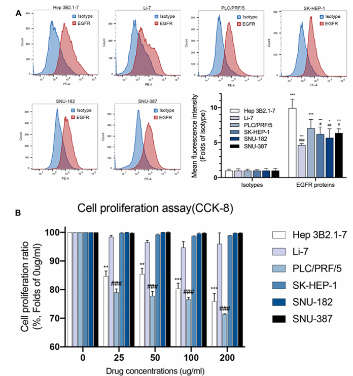Expressions of EGFR protein have no correspondence with efficacy of nimotuzumab