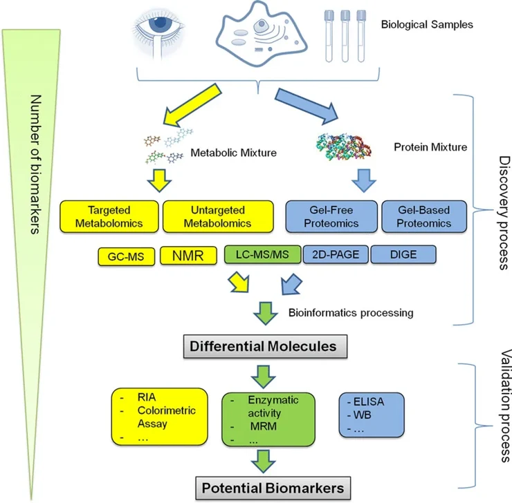 Workflow for biomarkers discovery process