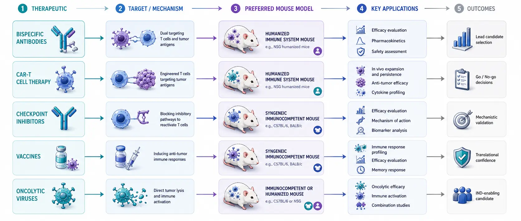Strategic decision tree for matching therapeutic modalities with optimal humanized mouse platforms.