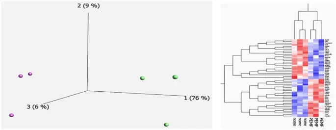 Principal component analysis and hierarchical clustering.