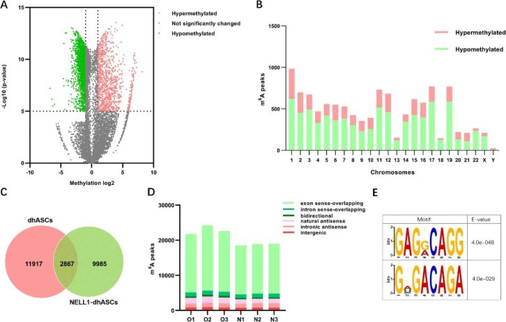 Characteristics of lncRNA m6A modification.