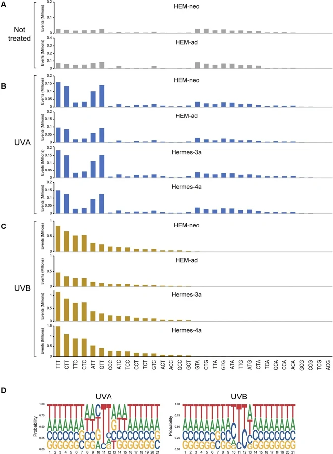 UVA radiation induces CPDs with a sequence specificity different from that of UVB.