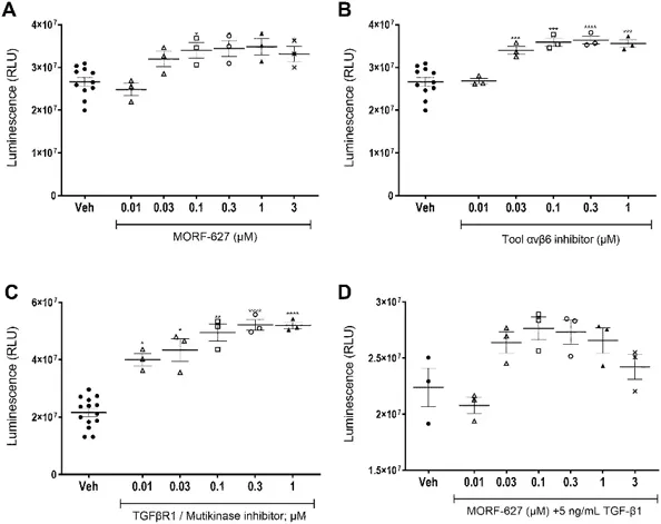Inhibition of αvβ6 integrin or TGFβR1 induce proliferation in primary human bladder epithelial cells in culture.