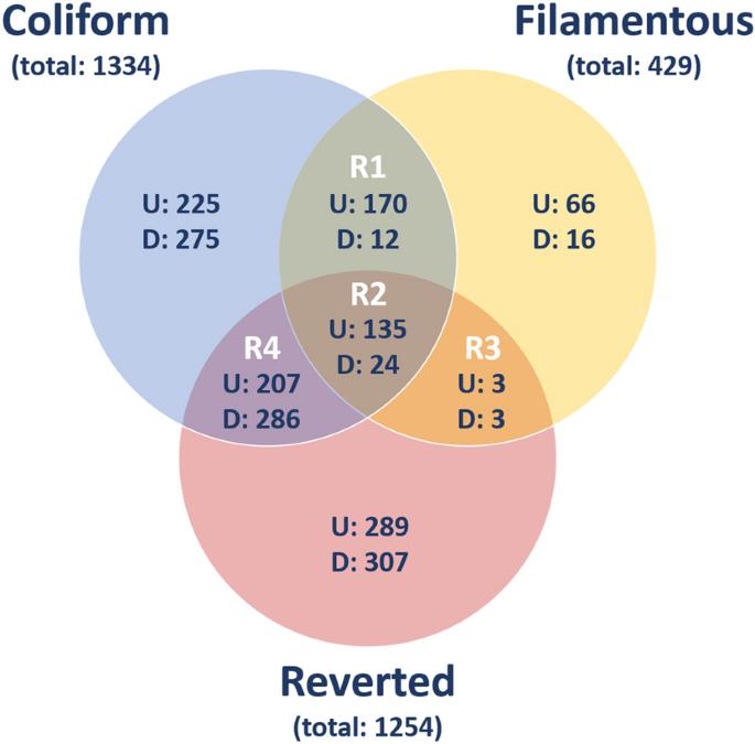 Venn diagram of differentially expresses gene entities in HBEP cells stimulated by different morphological states of ESBL019 compared to unstimulated controls