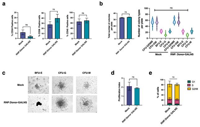 CRISPR/nCas9-based genome editing system efficiently preserves the self-renewal and differentiation potential of CD34+ cells.