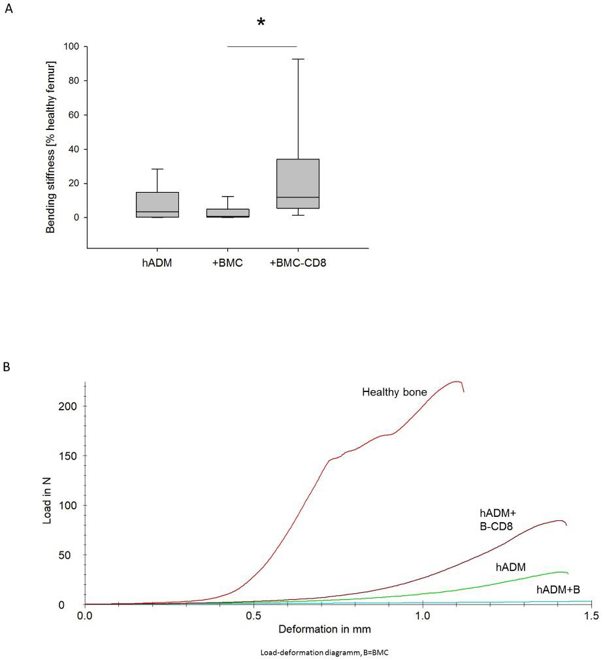 Bending stiffness of the defect zone 8 weeks after transplantation.